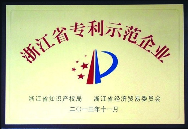 Zhejiang patent demonstration enterprise certificate